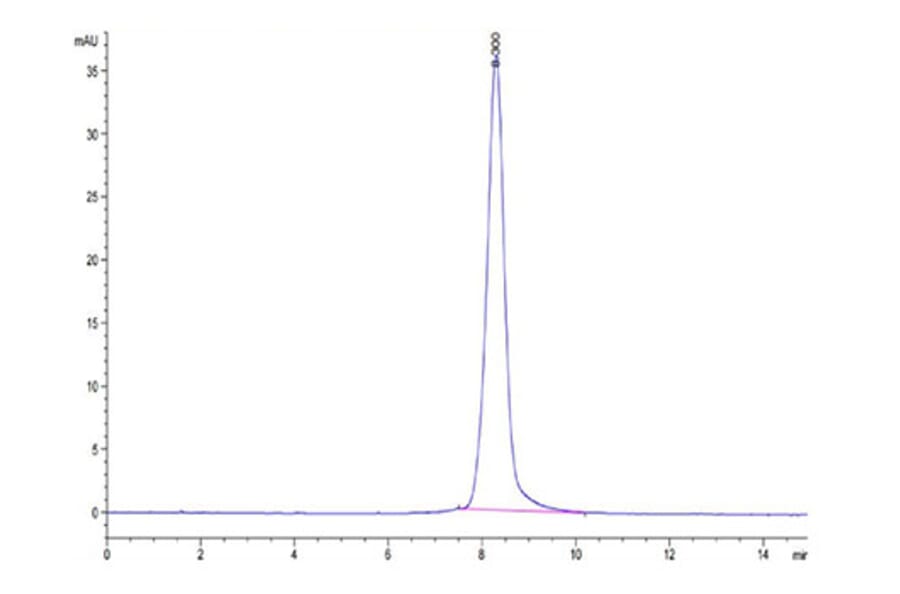 SEC-HPLC - Recombinant Human LILRA4 Protein (Biotin) (C-terminal His and Avi Tag) (A331006) - Antibodies.com