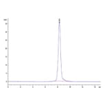 SEC-HPLC - Recombinant Human LILRA4 Protein (Biotin) (C-terminal His and Avi Tag) (A331006) - Antibodies.com