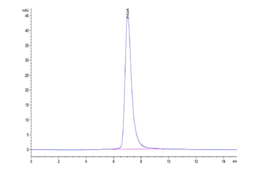 SEC-HPLC - Recombinant Human LILRA4 Protein (C-terminal His and Avi Tag) (A331007) - Antibodies.com