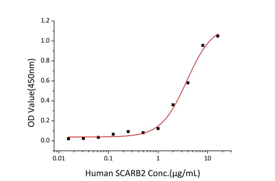 Standard Curve - Recombinant Human LIMPII Protein (C-terminal Human Fc and His Tag) (A331015) - Antibodies.com