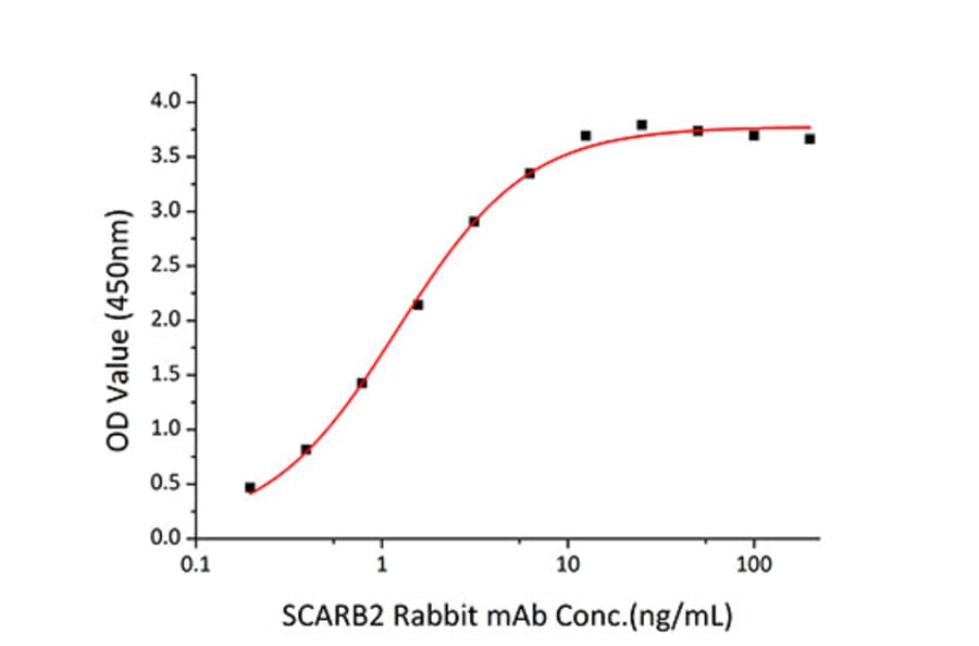 Standard Curve - Recombinant Human LIMPII Protein (C-terminal His Tag) (A331016) - Antibodies.com