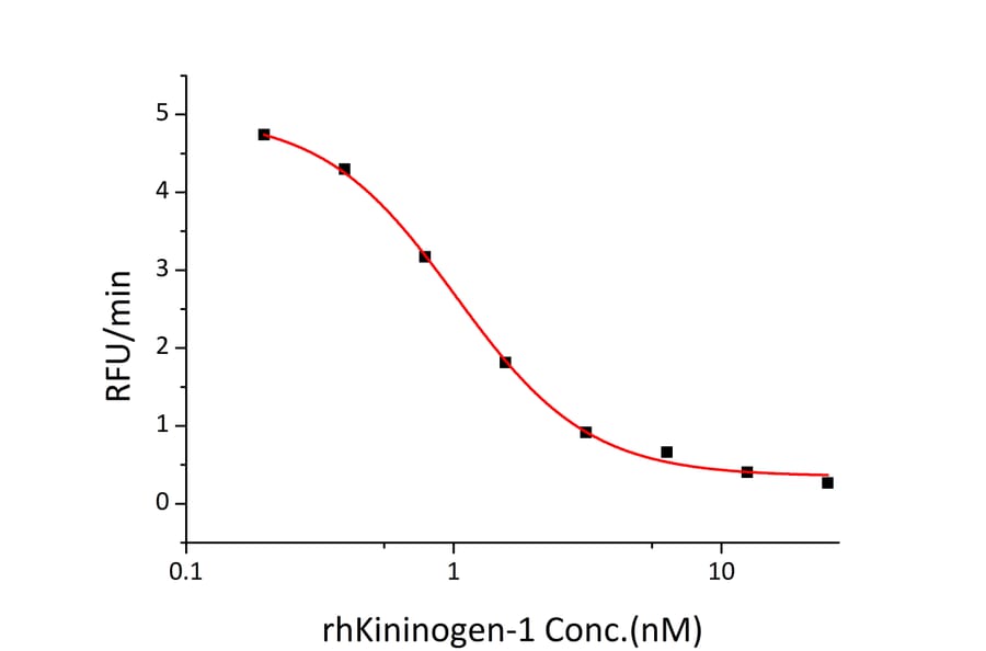 Enzyme inhibition assay - Recombinant Human LMW Kininogen Protein (C-terminal His Tag) (A331020) - Antibodies.com