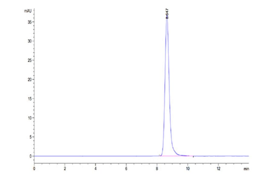 SEC-HPLC - Recombinant Human LRG1 Protein (C-terminal His Tag) (A331022) - Antibodies.com