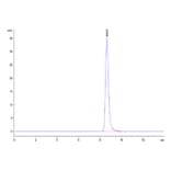 SEC-HPLC - Recombinant Human LRG1 Protein (C-terminal His Tag) (A331022) - Antibodies.com