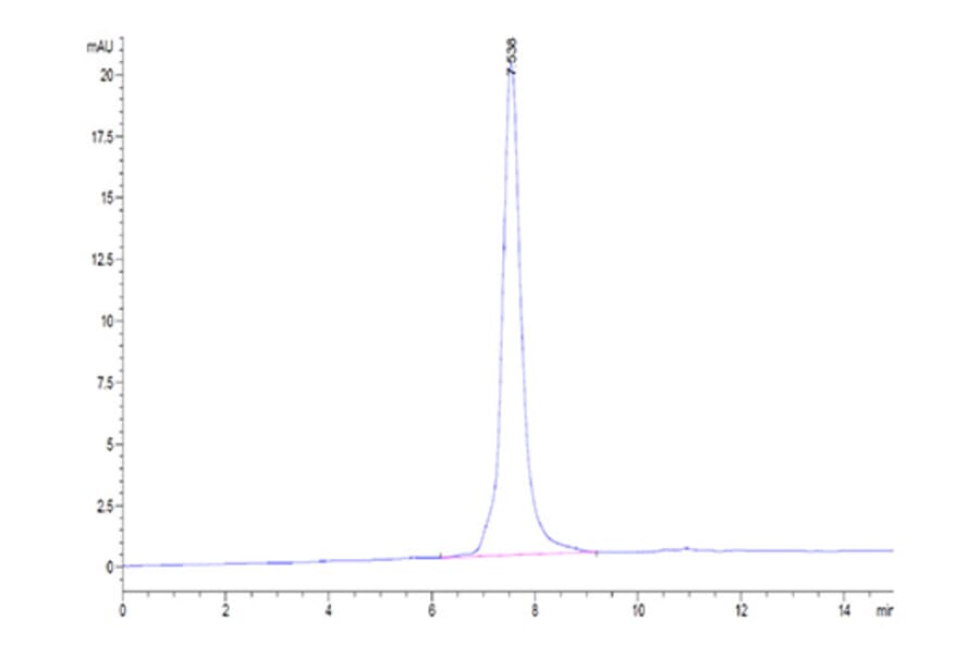 SEC-HPLC - Recombinant Human LRRC15 Protein (C-terminal His and Avi Tag) (A331024) - Antibodies.com