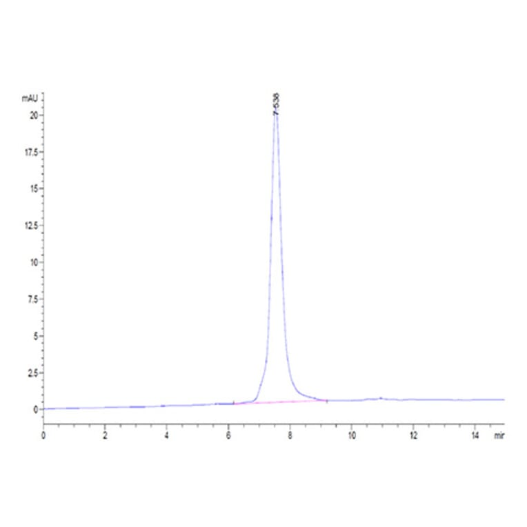 SEC-HPLC - Recombinant Human LRRC15 Protein (C-terminal His and Avi Tag) (A331024) - Antibodies.com