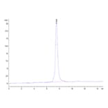 SEC-HPLC - Recombinant Human LRRC15 Protein (C-terminal His and Avi Tag) (A331024) - Antibodies.com
