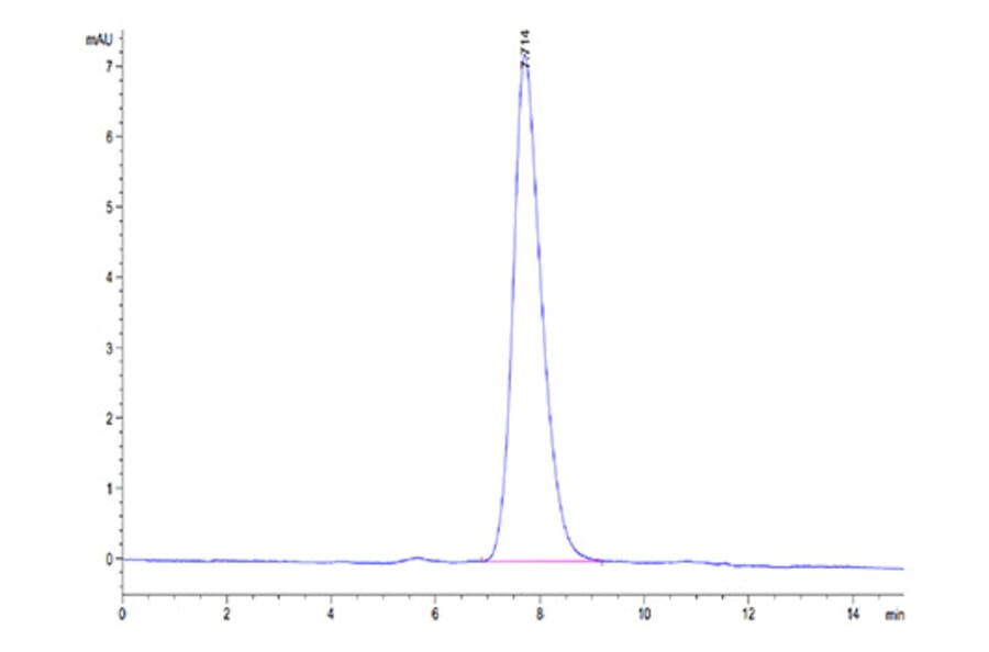 SEC-HPLC - Recombinant Human MAdCAM1 Protein (C-terminal His Tag) (A331031) - Antibodies.com