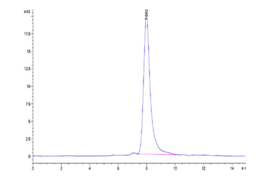 SEC-HPLC - Recombinant Mouse MARCO Protein (N-terminal His Tag) (A331033) - Antibodies.com