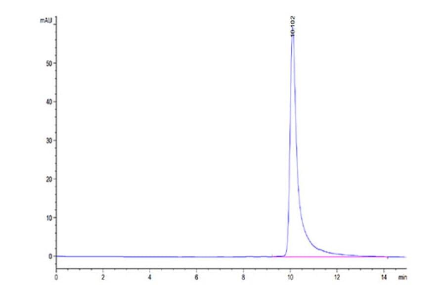 SEC-HPLC - Recombinant Human MARCO Protein (N-terminal His Tag) (A331034) - Antibodies.com