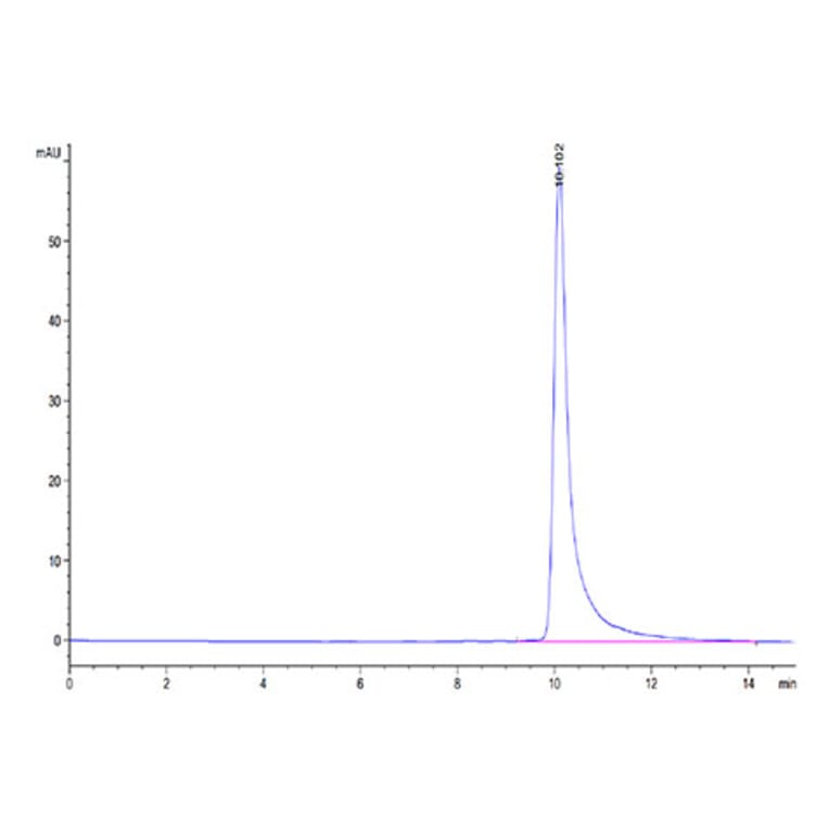 SEC-HPLC - Recombinant Human MARCO Protein (N-terminal His Tag) (A331034) - Antibodies.com