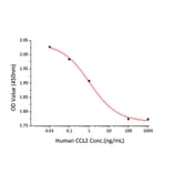 Cell Viability Assay - Recombinant Human MCP1 Protein (A331038) - Antibodies.com