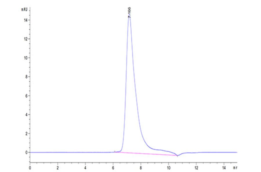 SEC-HPLC - Recombinant Cynomolgus macaque Mesothelin Protein (C-terminal His Tag) (A331046) - Antibodies.com