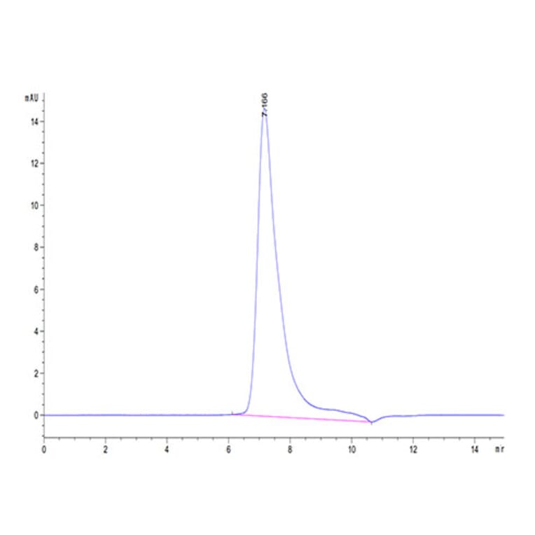 SEC-HPLC - Recombinant Cynomolgus macaque Mesothelin Protein (C-terminal His Tag) (A331046) - Antibodies.com