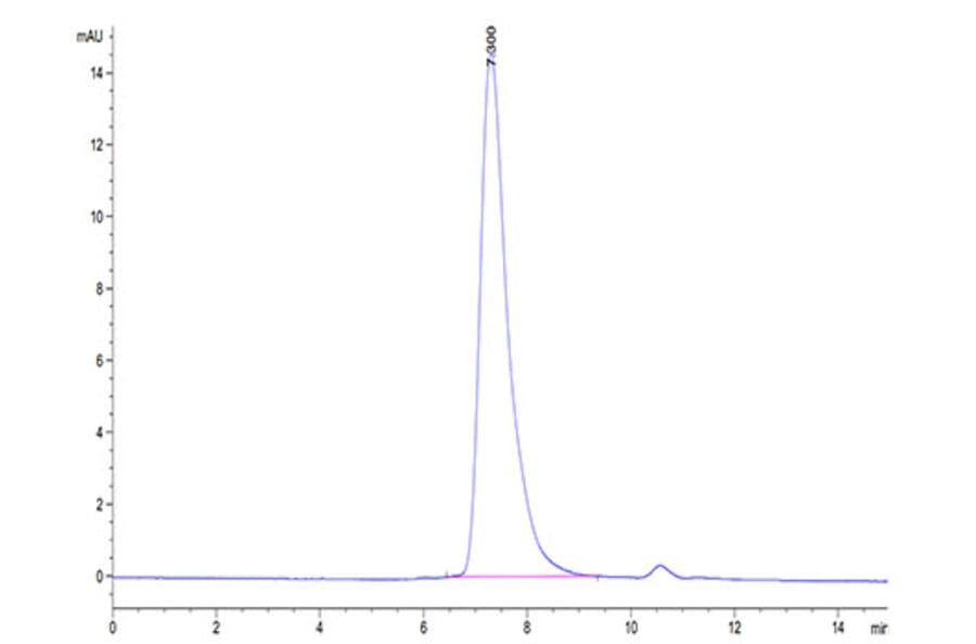 SEC-HPLC - Recombinant Cynomolgus macaque Mesothelin Protein (Biotin) (C-terminal His Tag) (A331048) - Antibodies.com