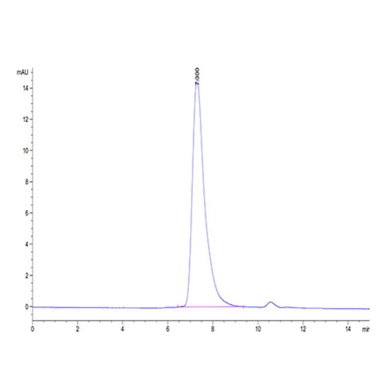 SEC-HPLC - Recombinant Cynomolgus macaque Mesothelin Protein (Biotin) (C-terminal His Tag) (A331048) - Antibodies.com