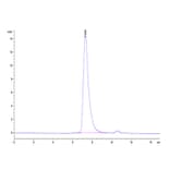 SEC-HPLC - Recombinant Cynomolgus macaque Mesothelin Protein (Biotin) (C-terminal His Tag) (A331048) - Antibodies.com