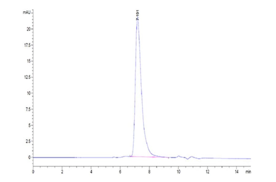 SEC-HPLC - Recombinant Human Mesothelin Protein (Biotin) (C-terminal His and Avi Tag) (A331049) - Antibodies.com