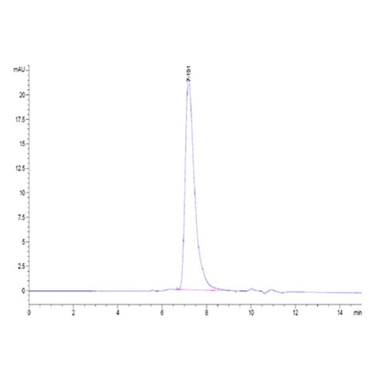 SEC-HPLC - Recombinant Human Mesothelin Protein (Biotin) (C-terminal His and Avi Tag) (A331049) - Antibodies.com