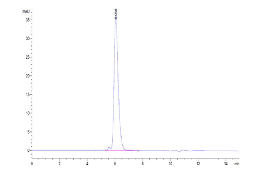 SEC-HPLC - Recombinant Human Mesothelin Protein (Biotin) (C-terminal Human Fc and Avi Tag) (A331050) - Antibodies.com