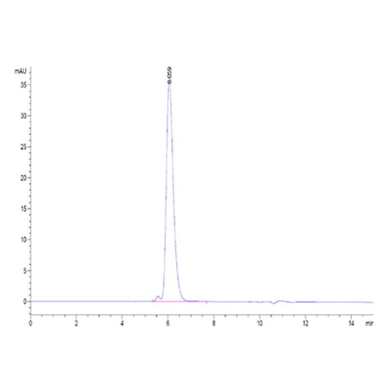 SEC-HPLC - Recombinant Human Mesothelin Protein (Biotin) (C-terminal Human Fc and Avi Tag) (A331050) - Antibodies.com