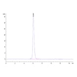 SEC-HPLC - Recombinant Human Mesothelin Protein (Biotin) (C-terminal Human Fc and Avi Tag) (A331050) - Antibodies.com