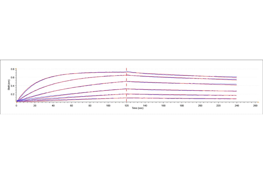 BLI Assay - Recombinant Human Mesothelin Protein (C-terminal Human Fc and His Tag) (A331051) - Antibodies.com