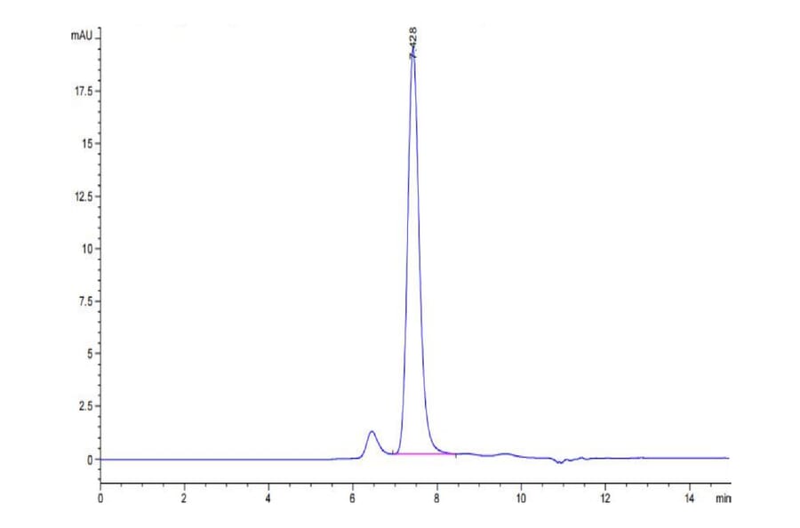 SEC-HPLC - Recombinant Human Met (c-Met) Protein (Biotin) (C-terminal His and Avi Tag) (A331054) - Antibodies.com