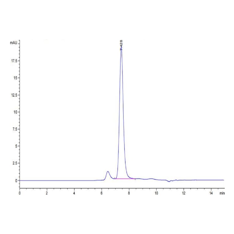 SEC-HPLC - Recombinant Human Met (c-Met) Protein (Biotin) (C-terminal His and Avi Tag) (A331054) - Antibodies.com