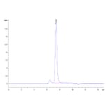 SEC-HPLC - Recombinant Human Met (c-Met) Protein (C-terminal His and Avi Tag) (A331056) - Antibodies.com