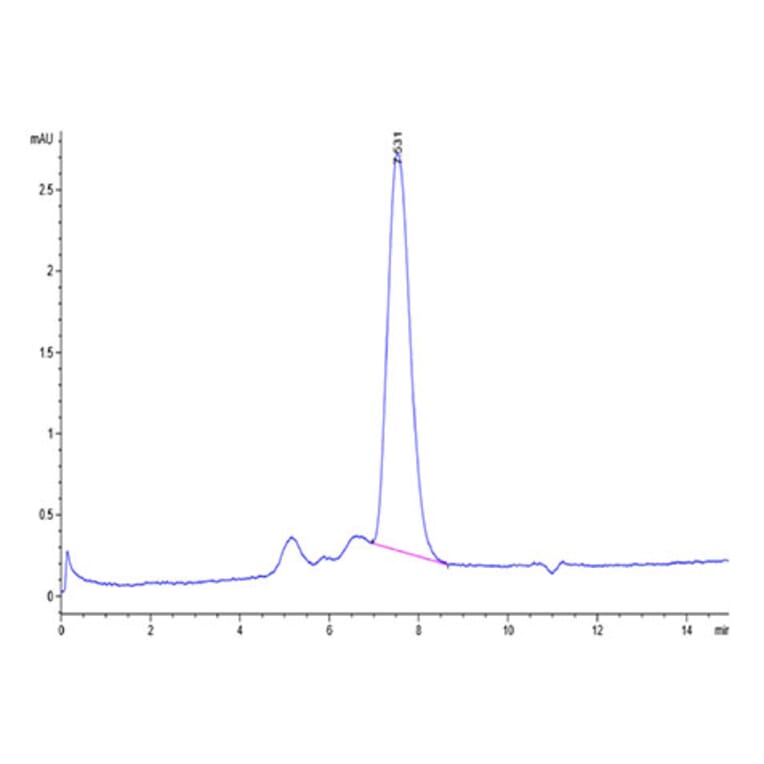 SEC-HPLC - Recombinant Human MICB Protein (Biotin) (C-terminal His and Avi Tag) (A331060) - Antibodies.com