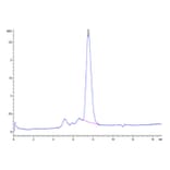 SEC-HPLC - Recombinant Human MICB Protein (Biotin) (C-terminal His and Avi Tag) (A331060) - Antibodies.com