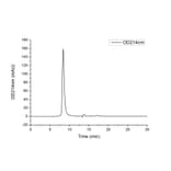 SEC-HPLC - Recombinant Human MICB Protein (C-terminal Human Fc and His Tag) (A331061) - Antibodies.com