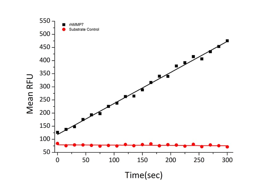 Fluorogenic Peptide Cleavage Assay - Recombinant Human MMP7 Protein (C-terminal His Tag) (A331069) - Antibodies.com