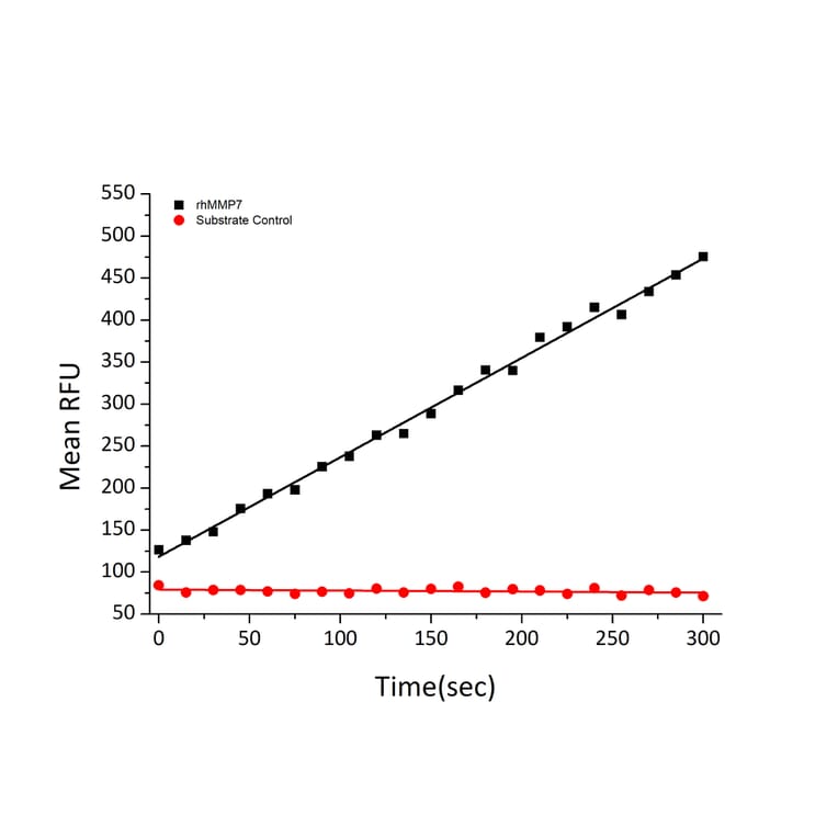 Fluorogenic Peptide Cleavage Assay - Recombinant Human MMP7 Protein (C-terminal His Tag) (A331069) - Antibodies.com