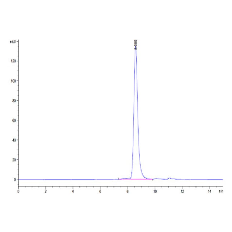 SEC-HPLC - Recombinant Human MMP8 Protein (C-terminal His Tag) (A331070) - Antibodies.com