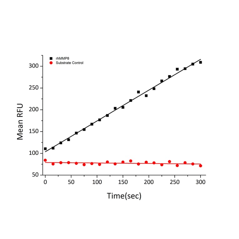 Fluorogenic Peptide Cleavage Assay - Recombinant Human MMP8 Protein (C-terminal His Tag) (A331070) - Antibodies.com