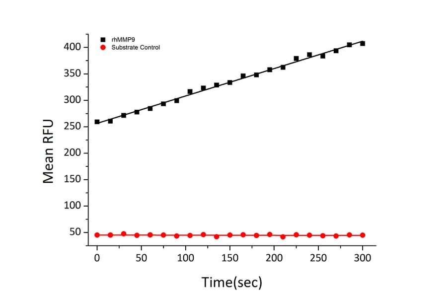 Fluorogenic Peptide Cleavage Assay - Recombinant Human MMP9 Protein (C-terminal His Tag) (A331071) - Antibodies.com