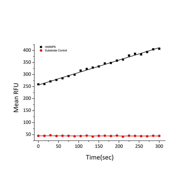 Fluorogenic Peptide Cleavage Assay - Recombinant Human MMP9 Protein (C-terminal His Tag) (A331071) - Antibodies.com