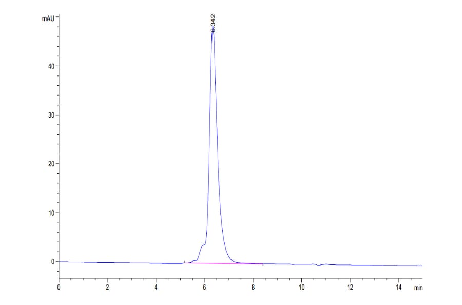 SEC-HPLC - Recombinant Human MMP9 Protein (Biotin) (C-terminal His and Avi Tag) (A331072) - Antibodies.com