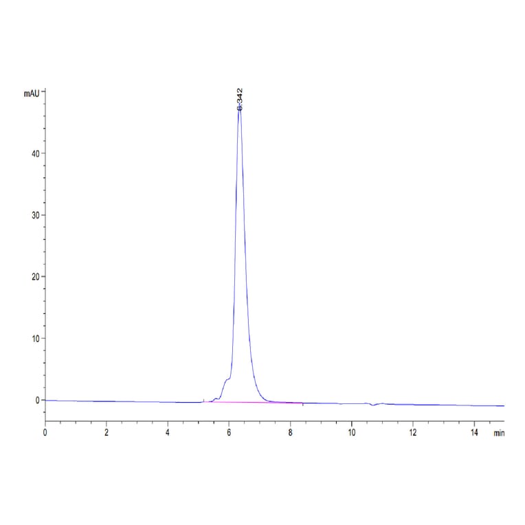 SEC-HPLC - Recombinant Human MMP9 Protein (Biotin) (C-terminal His and Avi Tag) (A331072) - Antibodies.com