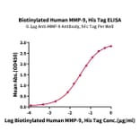 Standard Curve - Recombinant Human MMP9 Protein (Biotin) (C-terminal His and Avi Tag) (A331072) - Antibodies.com