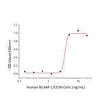 Standard Curve - Recombinant Human NCAM1 Protein (C-terminal His Tag) (A331083) - Antibodies.com