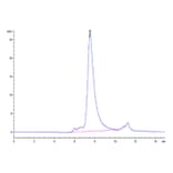 SEC-HPLC - Recombinant Human NCR1 Protein (N-terminal His Tag) (A331085) - Antibodies.com