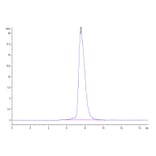 SEC-HPLC - Recombinant Human NCR1 Protein (C-terminal Human Fc Tag) (A331086) - Antibodies.com