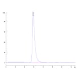 SEC-HPLC - Recombinant Human NCR1 Protein (C-terminal Mouse Fc Tag) (A331087) - Antibodies.com