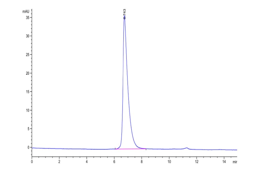 SEC-HPLC - Recombinant Human Nectin 2 Protein (Biotin) (C-terminal His and Avi Tag) (A331090) - Antibodies.com