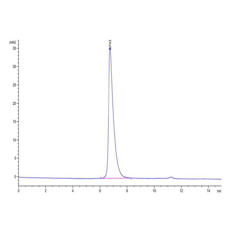 SEC-HPLC - Recombinant Human Nectin 2 Protein (Biotin) (C-terminal His and Avi Tag) (A331090) - Antibodies.com