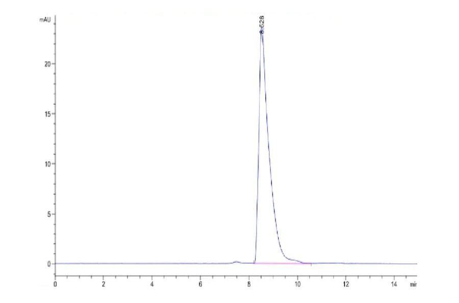 SEC-HPLC - Recombinant Human Nectin 2 Protein (A331091) - Antibodies.com