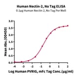 Standard Curve - Recombinant Human Nectin 2 Protein (A331091) - Antibodies.com